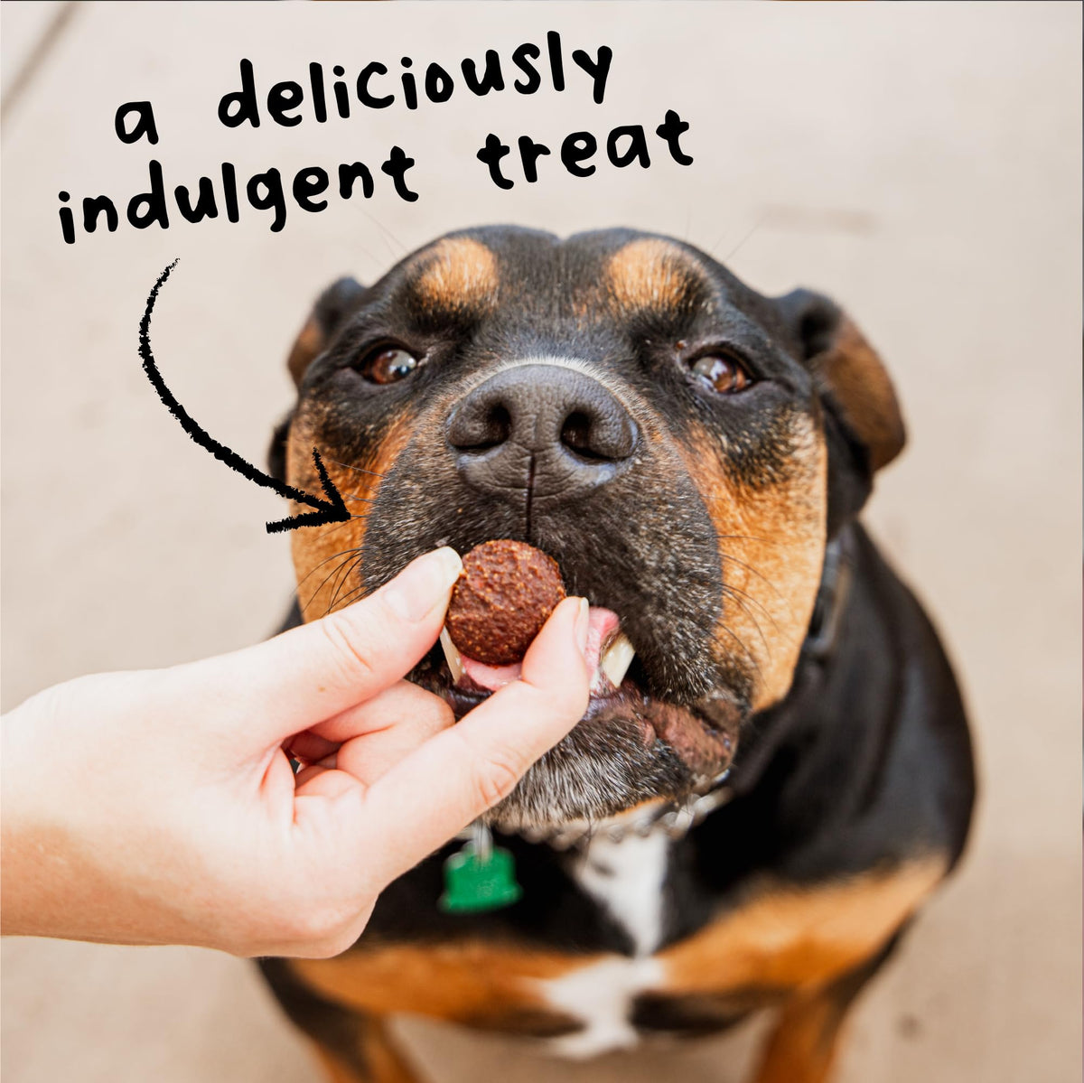 Cloud Star Wag More Bark Less 14 oz Grain Free Meatballs Dog Treats with Beef (19118)