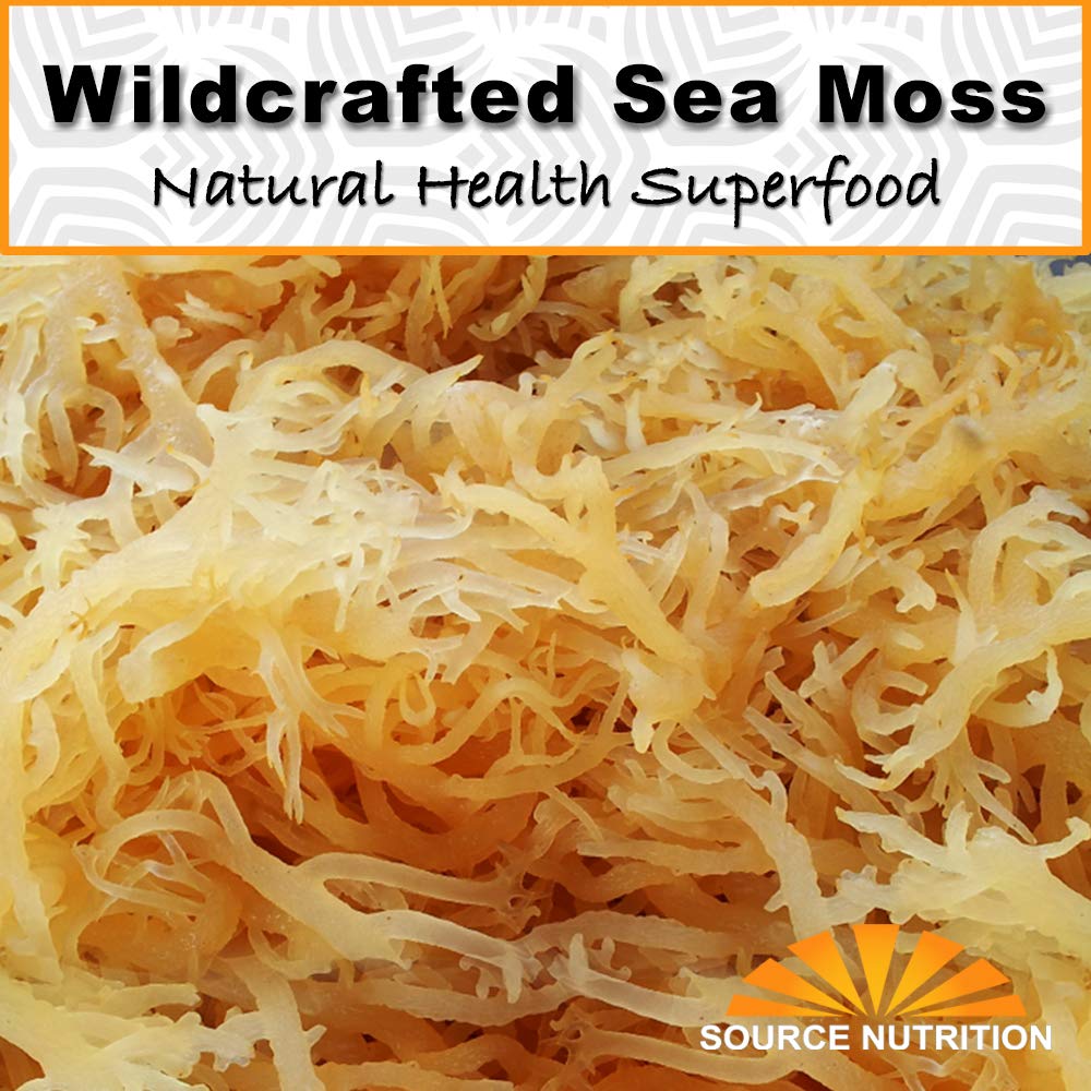 1 Lb Wild Crafted Raw Sea Moss - Perfect For Gel & Smoothies, Clean Ocean Harvest, Hand Picked & Sun Dried - Bulk Irish Moss Superfood