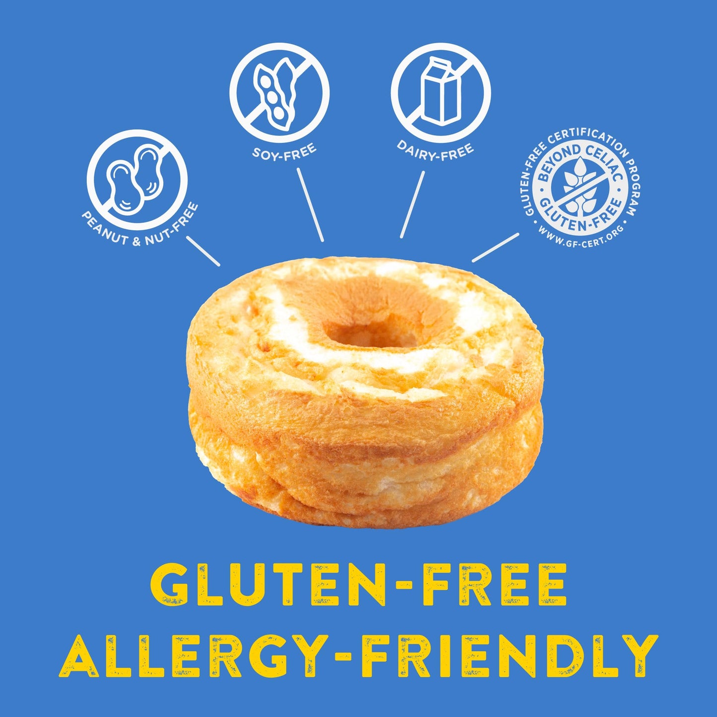 Kinnikinnick Angel Food Cake Mix - Gluten Free, Allergy Friendly - 15.9 oz Boxes - 2 Pack