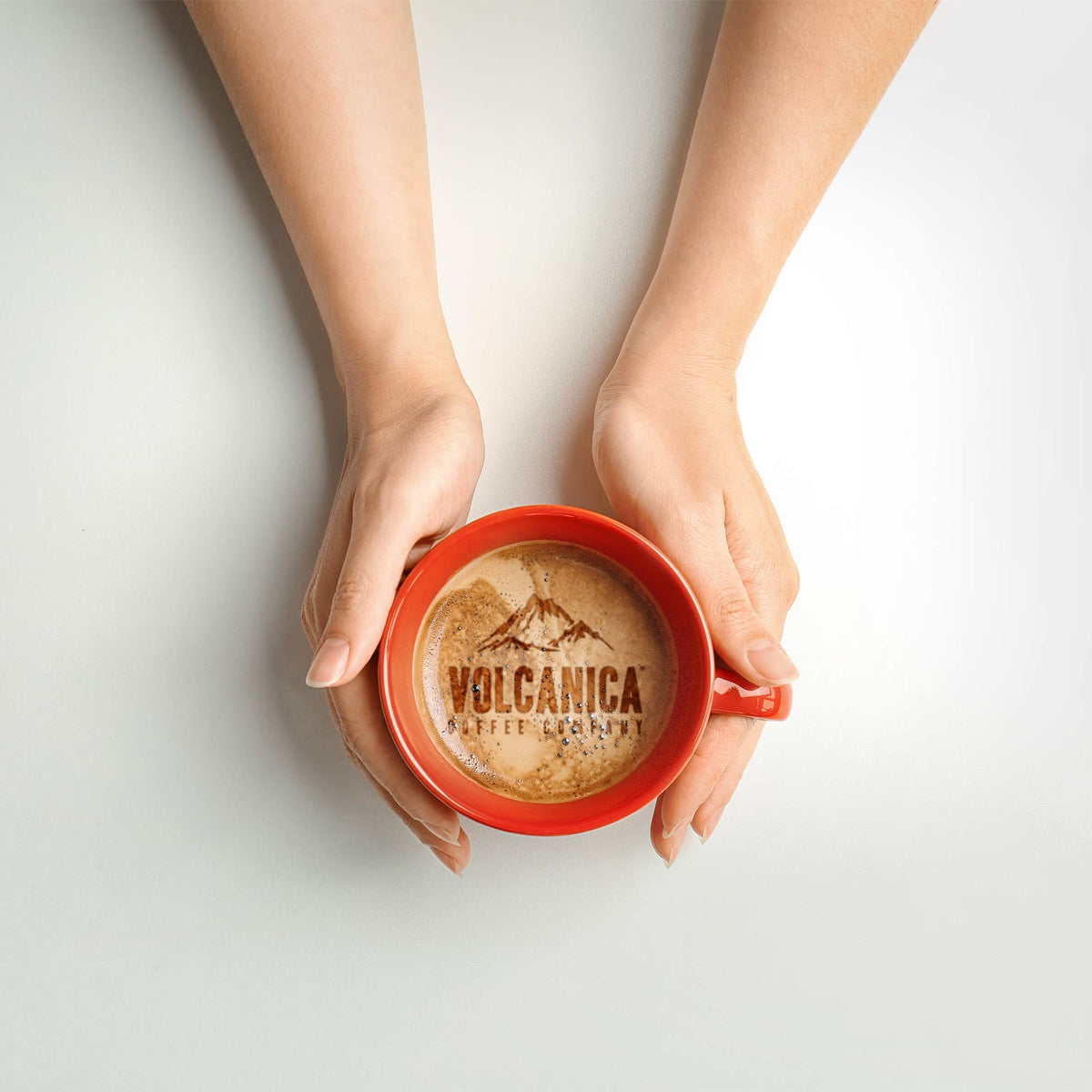 Chocolate Raspberry Flavored Coffee, Whole Bean, Fresh Roasted, 16-Ounce
