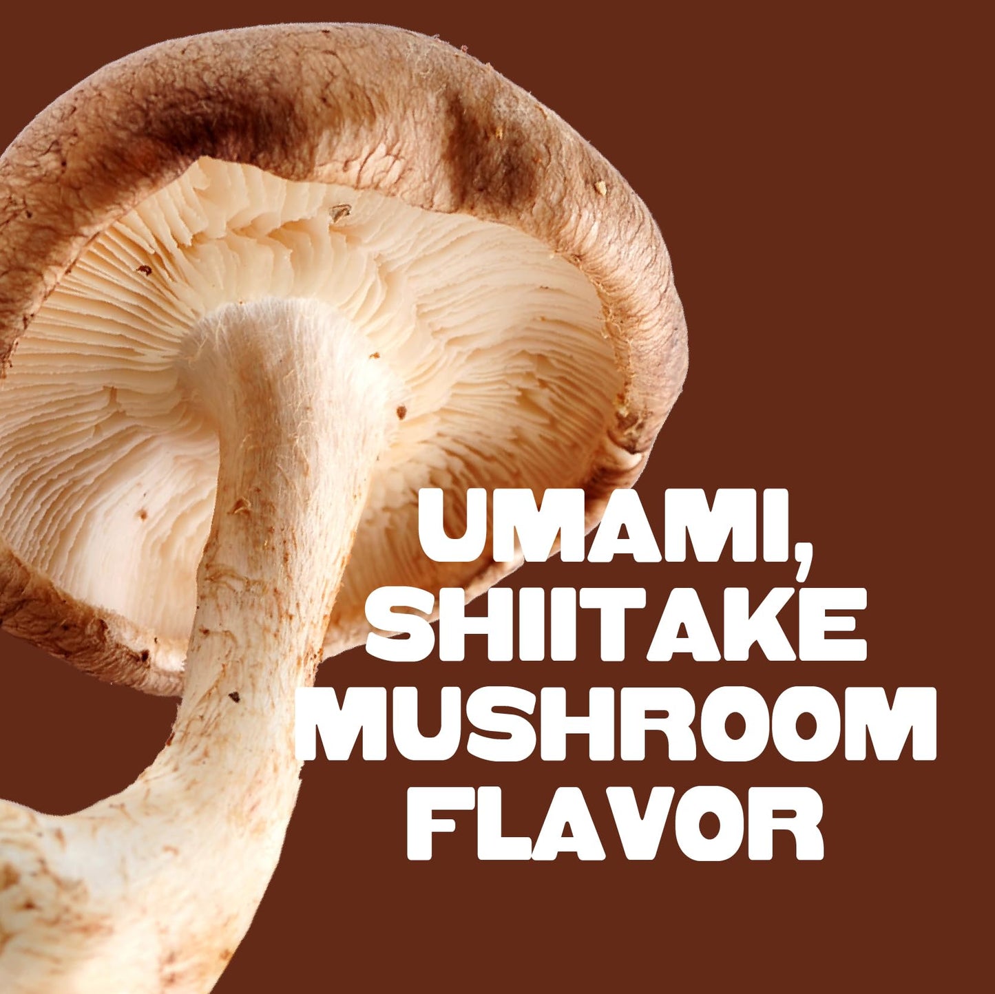 Pan s Mushroom Jerky, Vegan Snacks, Dried Mushrooms Shiitake, Plant based Jerky, Meatless Jerky, Gluten Free, High in Fiber, wi