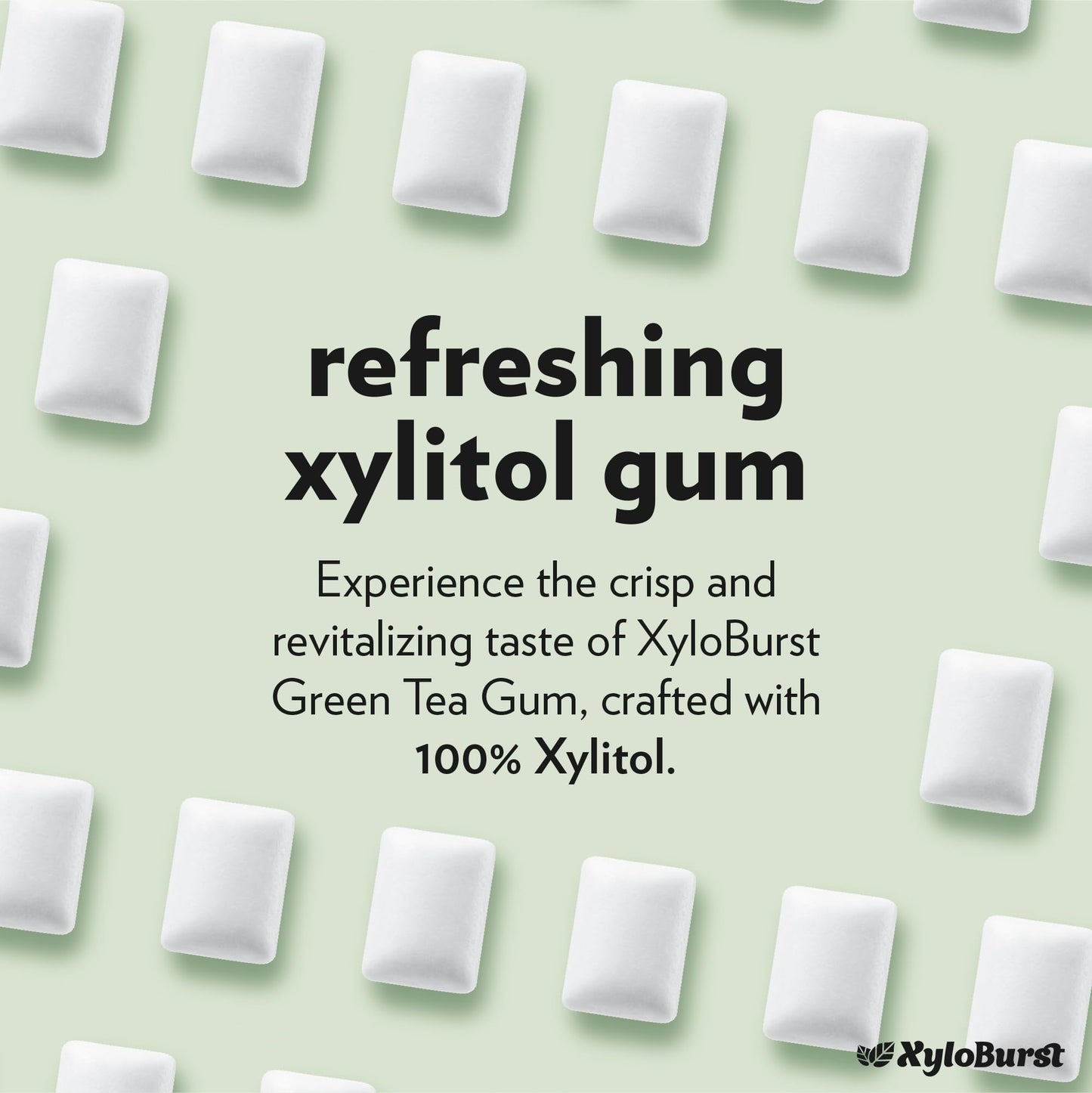 Xyloburst Sugar-Free Green Tea Gum - 100 Count Jar - Non-GMO, Vegan, Keto Friendly Chewing Gum