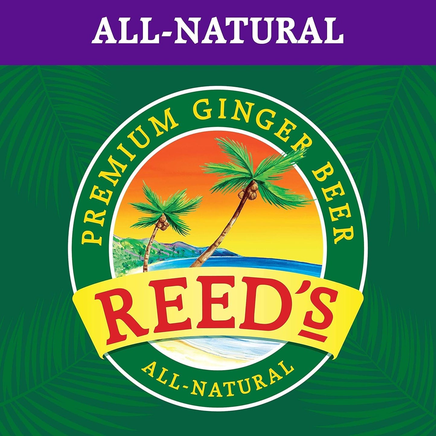 Reeds Strongest Ginger malt-inspired - 12oz Glass Bottles, 12 Pack - Fresh Ginger Root for Intense Spice