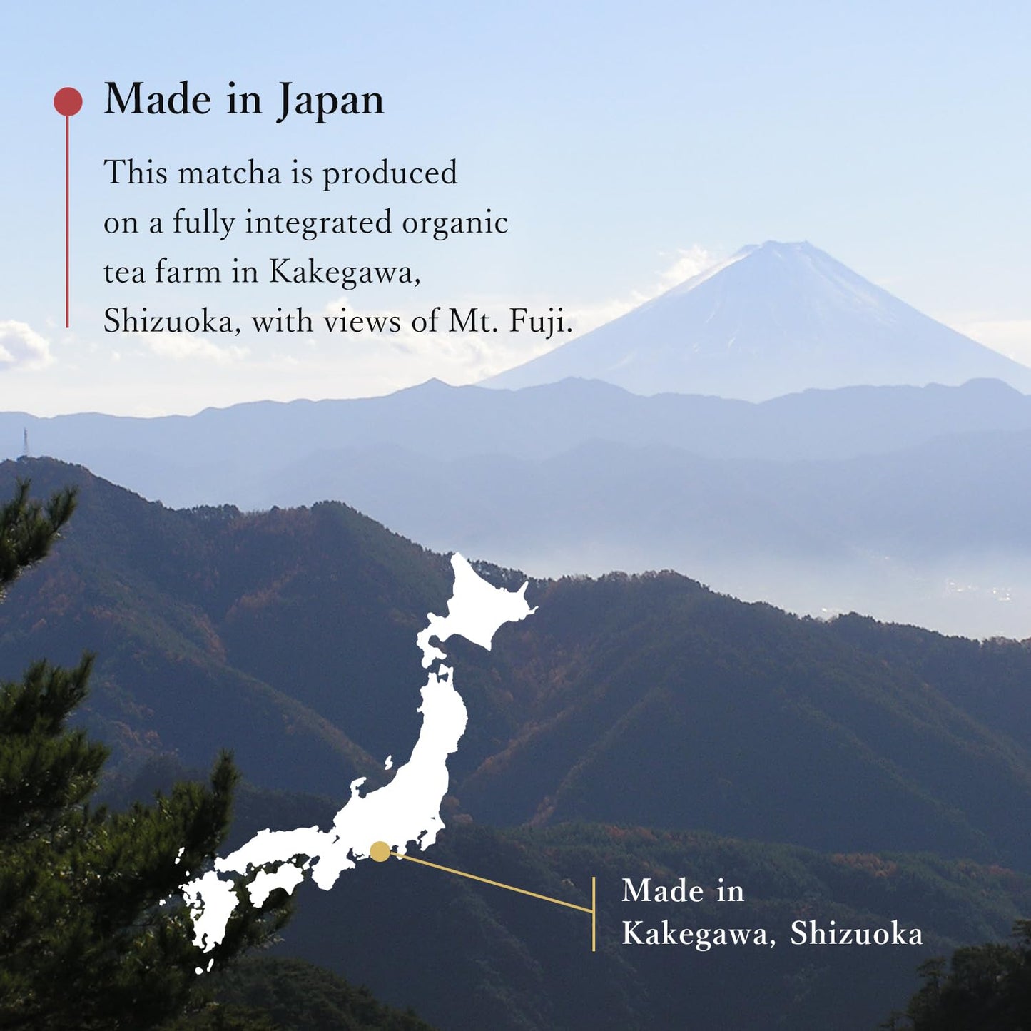 MIKAN YAMA ZEN GREEN Organic Matcha Powder, 100% Authentic Japanese Ceremonial Grade, 40g (1.41oz) - Saemidori Cultivar