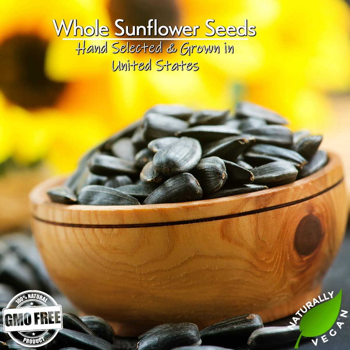 GERBS Jumbo Unsalted Sunflower Seeds In Shell - 2 LBS - Top 14 Allergen Free, NON GMO, Premium Dry Roasted