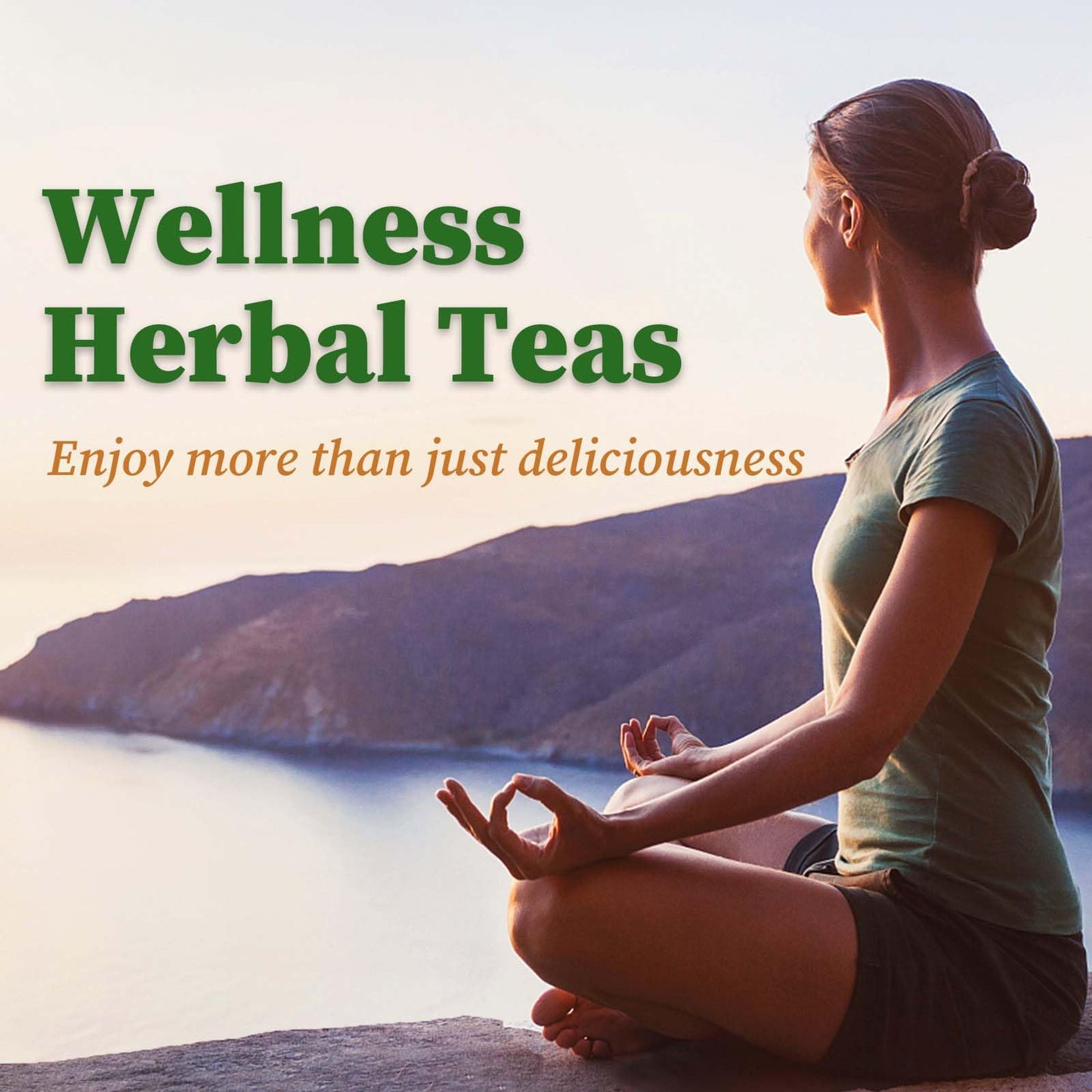 FullChea Thyme Tea Bags - Premium Non-GMO, Caffeine-Free, 40 Count