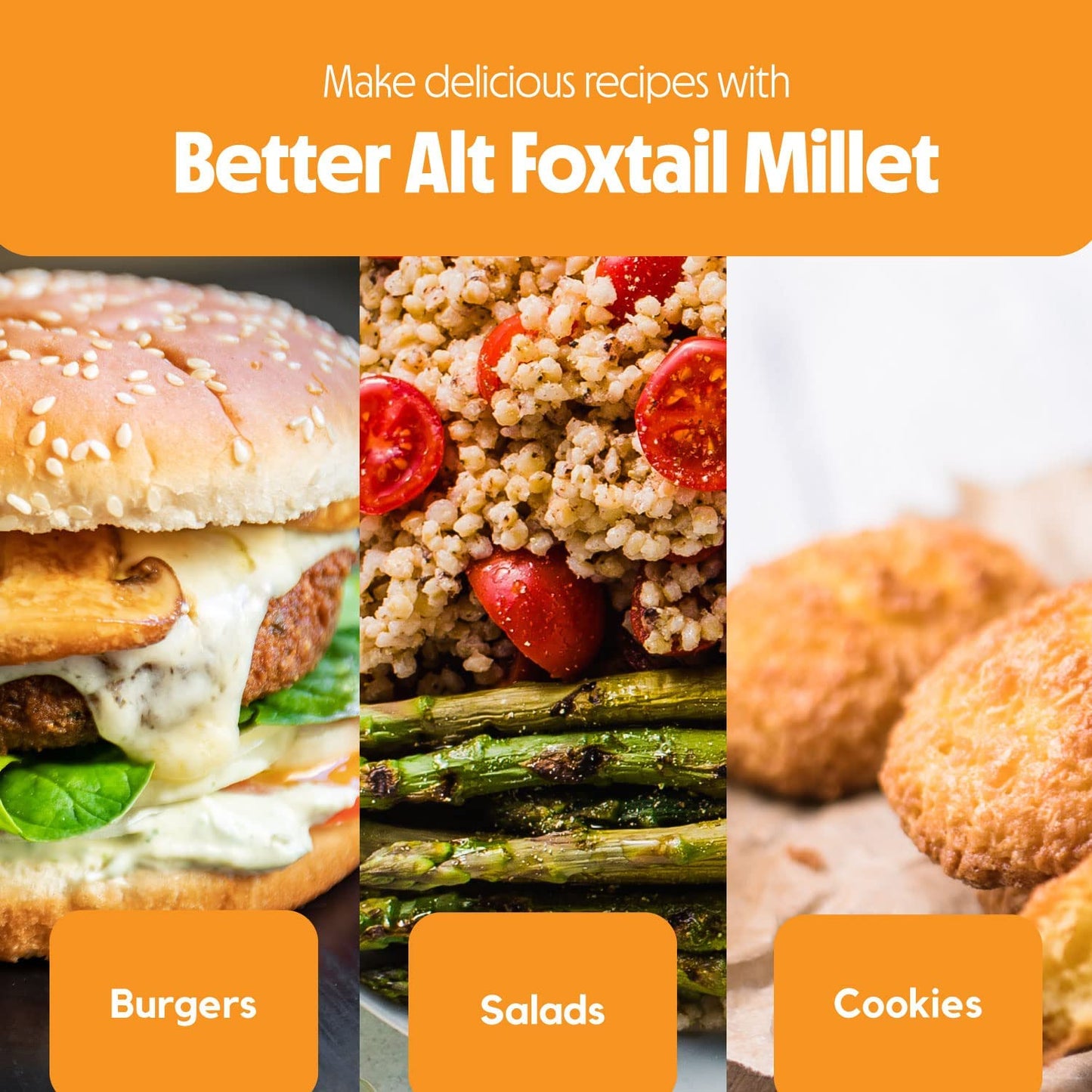 Better Alt 3 LBS SUPER PACK Millet Grain, Superfood of the Year 2023, Gluten Free, Hulled Whole Grain, Foxtail Millet, High Prot