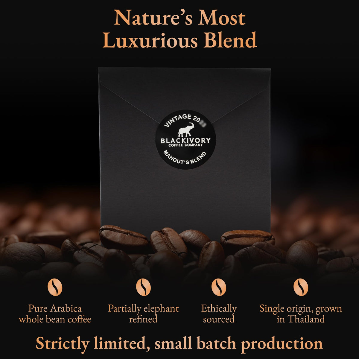 Black Ivory Coffee Mahouts Blend - elegant Medium Roast Arabica Coffee, 1.23 Ounce, Brown Beans, Black Packaging