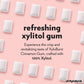 Xyloburst Gum | Xylitol Chewing Gum | Sugar Free, Gluten Free, Keto Friendly | Aspartame Free Gum | Cinnamon | 500-Count Bag
