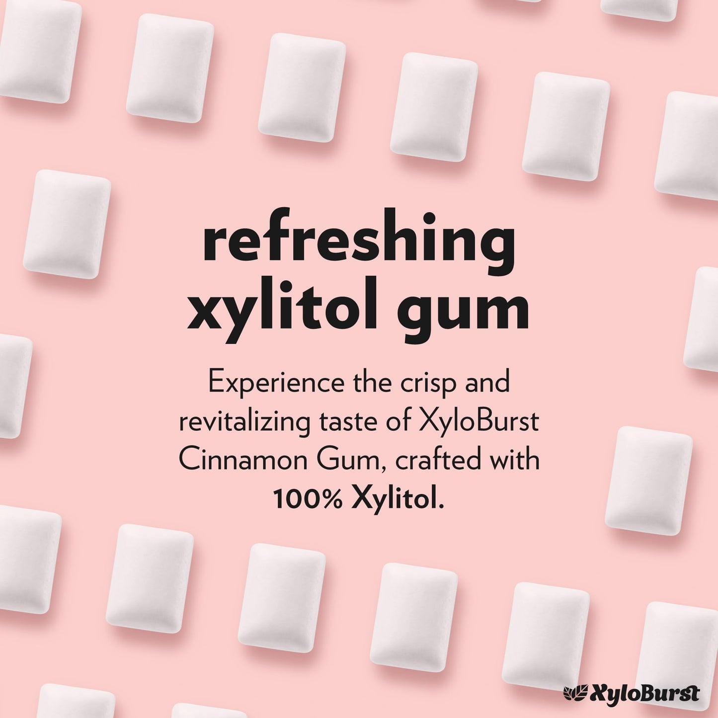 Xyloburst Gum | Xylitol Chewing Gum | Sugar Free, Gluten Free, Keto Friendly | Aspartame Free Gum | Cinnamon | 500-Count Bag