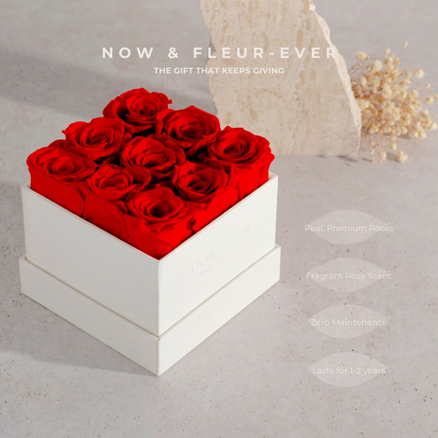 Fleur De Zen Forever Roses In A Box | Gift-Ready Preserved Roses In A Box | 100% Real Flowers For Delivery Prime | Valentines Da