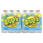 SPLASH BLAST Splash Refresher Lemon Flavor Water Beverage, 16.9 Fl Oz Bottles, 24 Count