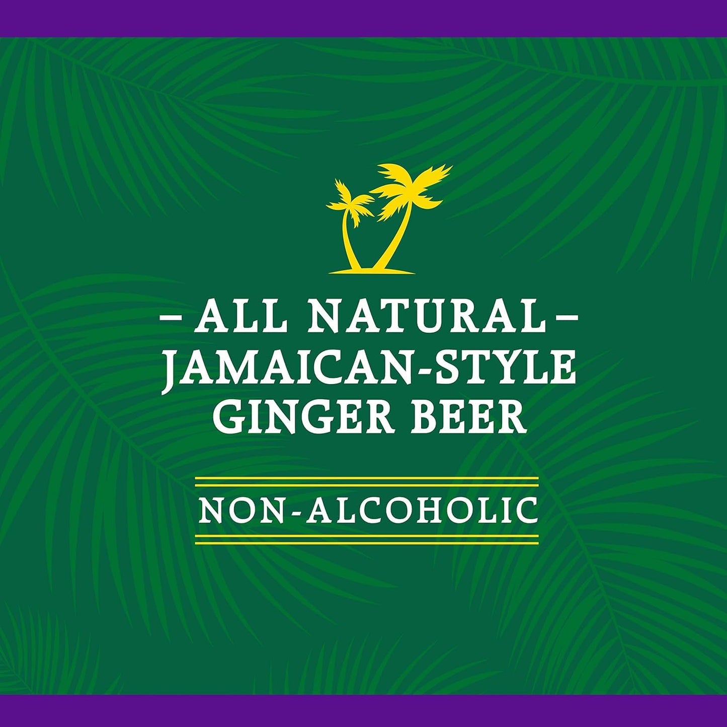 Reeds Strongest Ginger malt-inspired - 12oz Glass Bottles, 12 Pack - Fresh Ginger Root for Intense Spice
