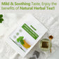 ULTHMOK Ginkgo Biloba Tea Bags - 100% Natural, Caffeine Free, 40 Count