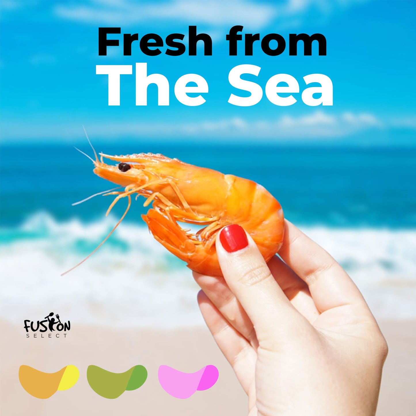 Fusion Select 1 Pk Uncooked Prawn Crackers - Multi-Colored Shrimp Chips For Sharing, Serving Snack Platters At Parties - Dehydra