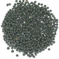 Black Lentils | 25 Lbs | Emergency Food Storage Bucket | Non-Gmo | Vegan | Bulk