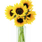 KaBloom Flowers - Mothers Day Collection - Smile Bouquet of Fresh Sunflower with Vase - Gift for Birthday  Anniversary  Get Well  Thank You  Valentine  Mothers Day Fresh Flowers