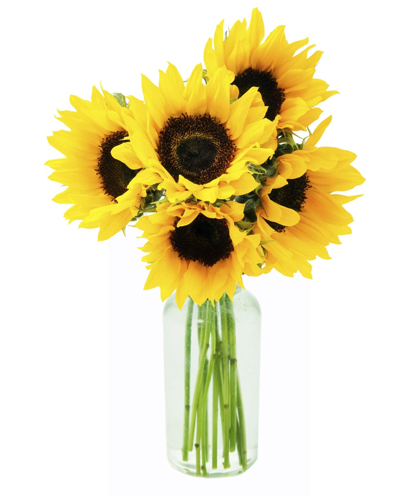 KaBloom Flowers - Mothers Day Collection - Smile Bouquet of Fresh Sunflower with Vase - Gift for Birthday  Anniversary  Get Well  Thank You  Valentine  Mothers Day Fresh Flowers
