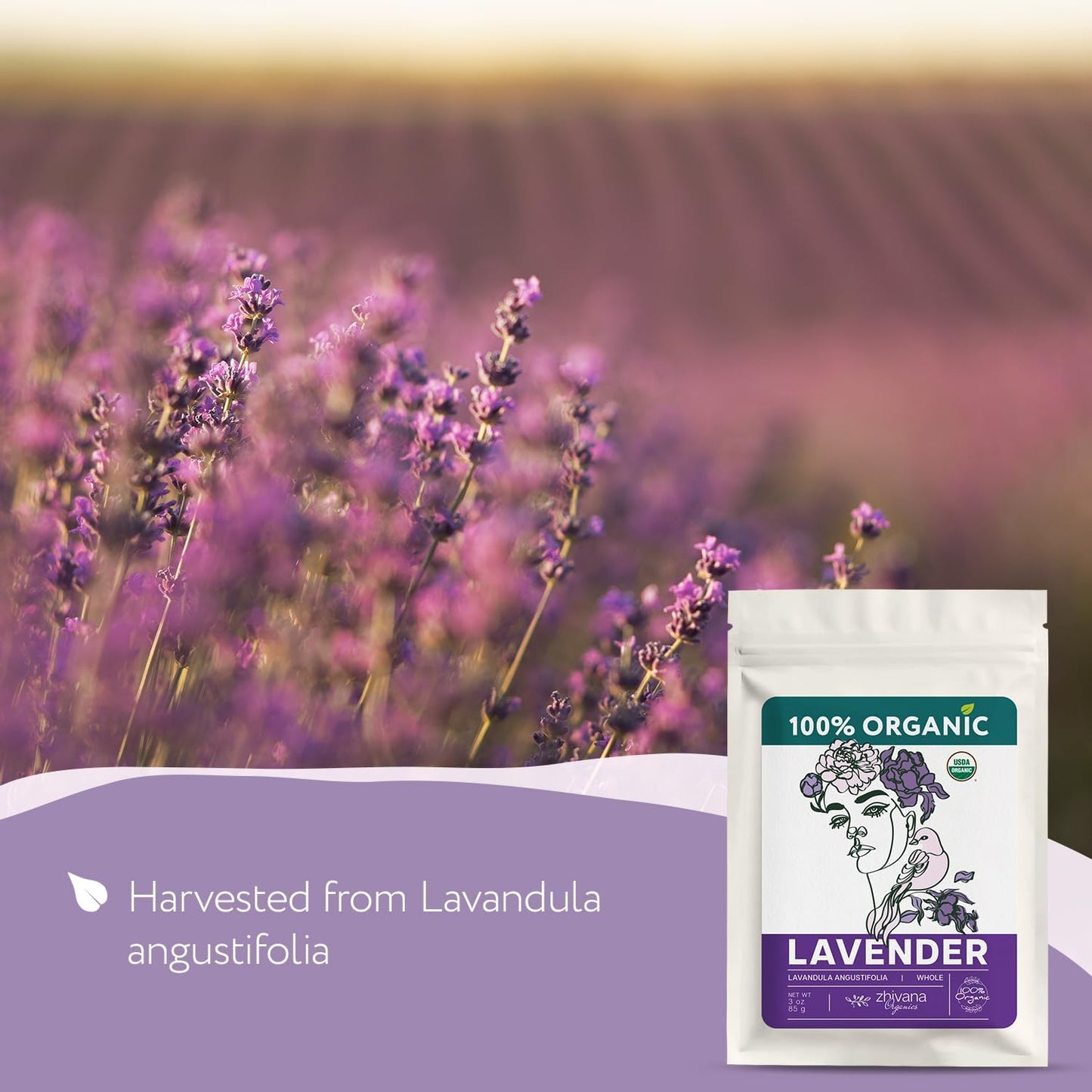 Super Value Pack 5 LB - Organic Food Grade Lavender Buds - Lavender Tea Bulk - Lavandula Angustifolia - Edible Lavander for Drin