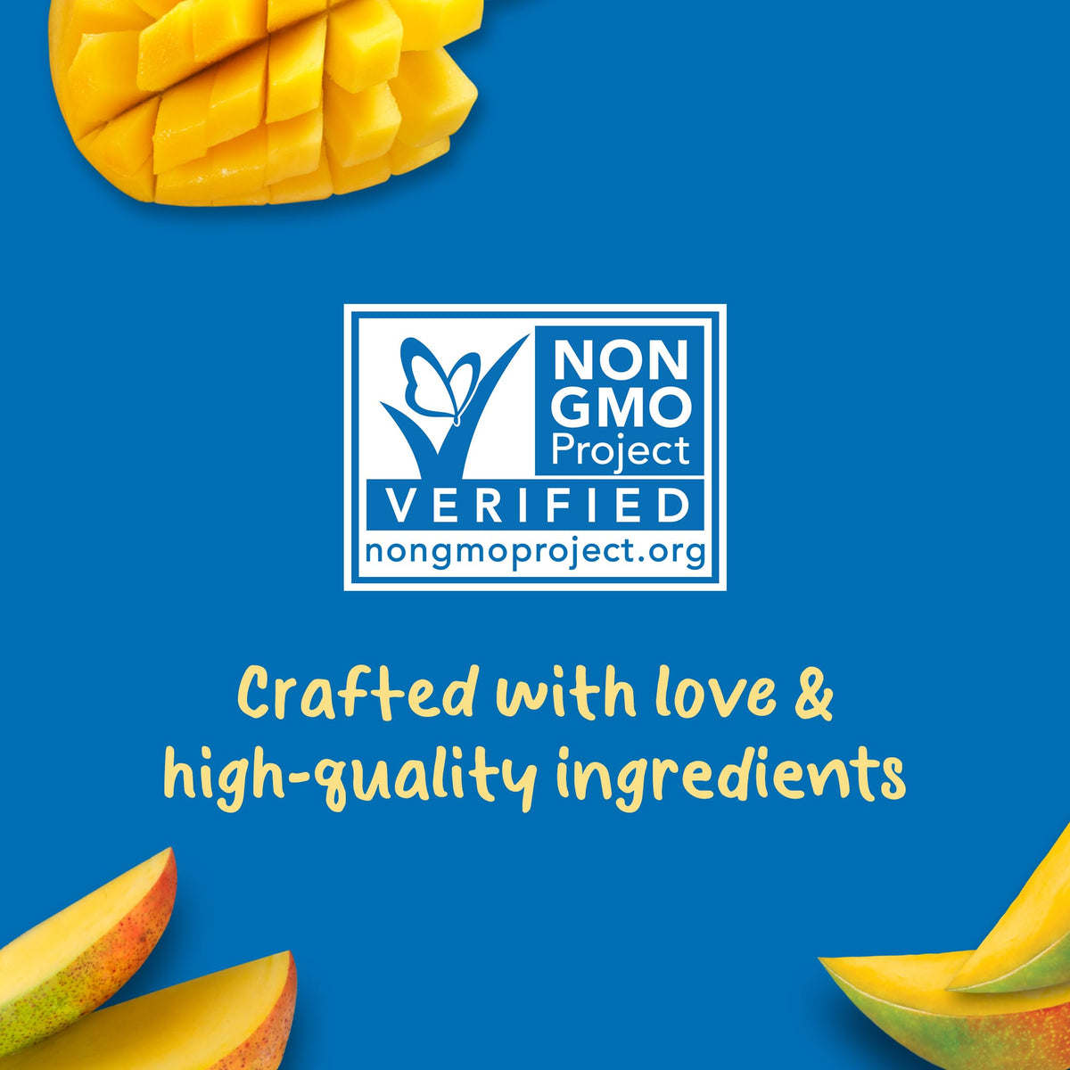 Gerber 2Nd Foods Baby Food, Mango, 3.5 Oz Pouch (Pack Of 12)