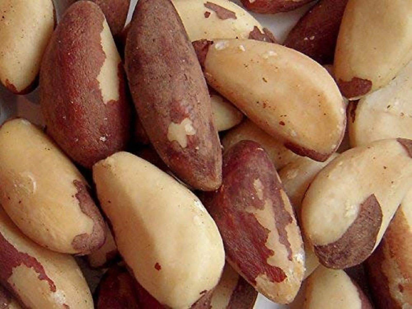 Freshly Roasted Brazil Nuts With Sea Salt (2 Lbs.) - Super Crunchy - Roasted & Salted To Perfection In Small Batches For Added F