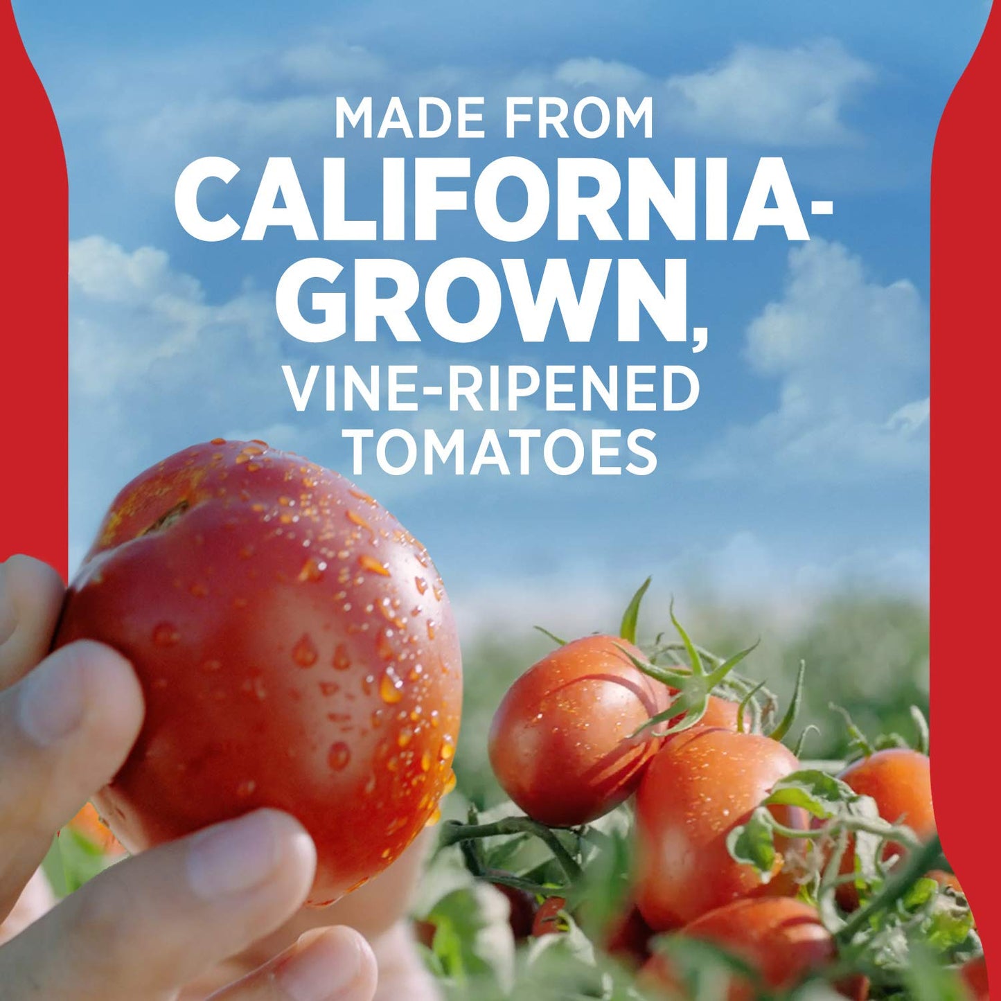 Hunt's All Natural Tomato Ketchup - 20 oz (1.25 lb) - Classic Flavor, No Artificial Ingredients