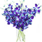 Premium Cut Purple Orchids (Support Small Business) (Blue, 10 Stems with Vase)