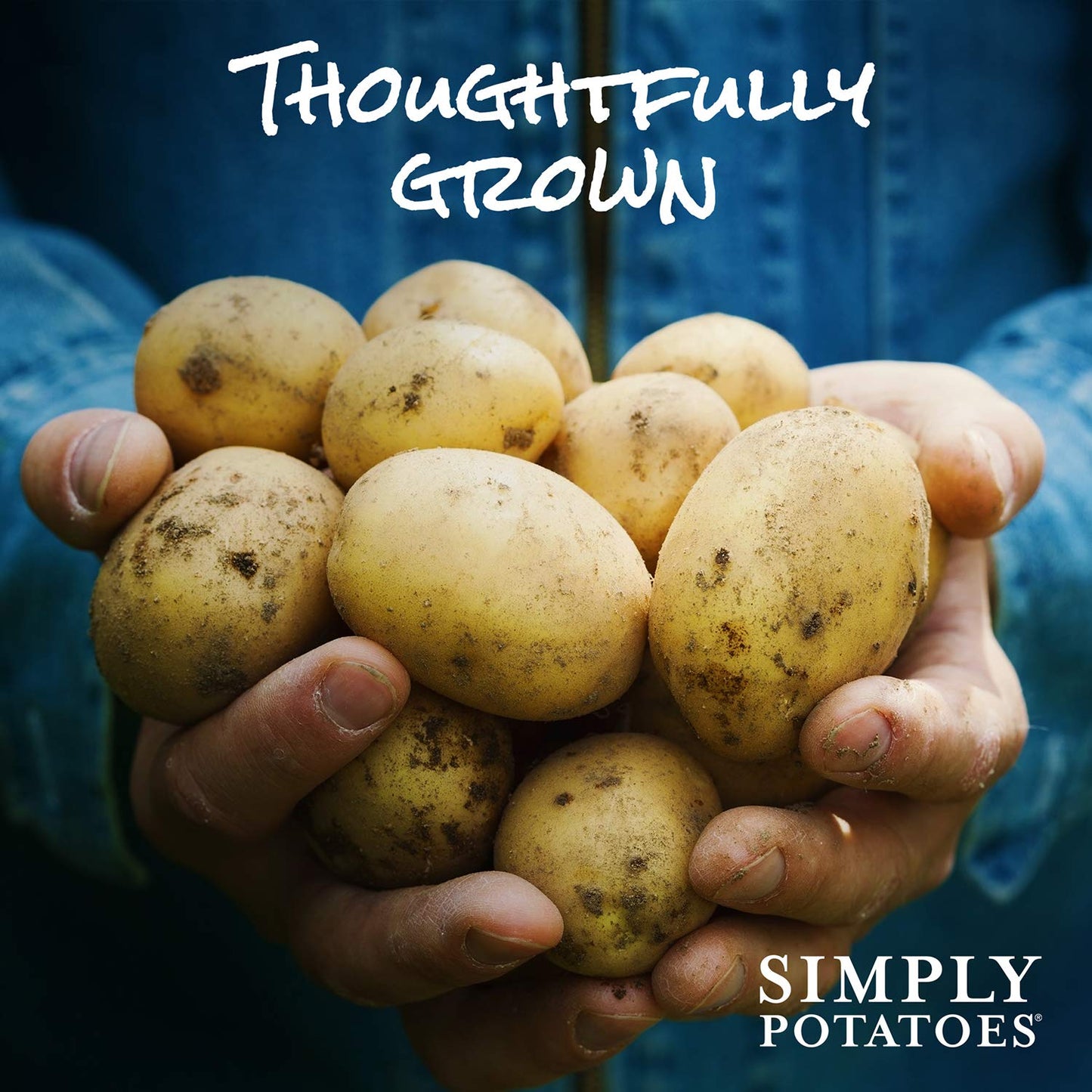 Simply Potatoes Shredded Hash Browns, 20 Oz