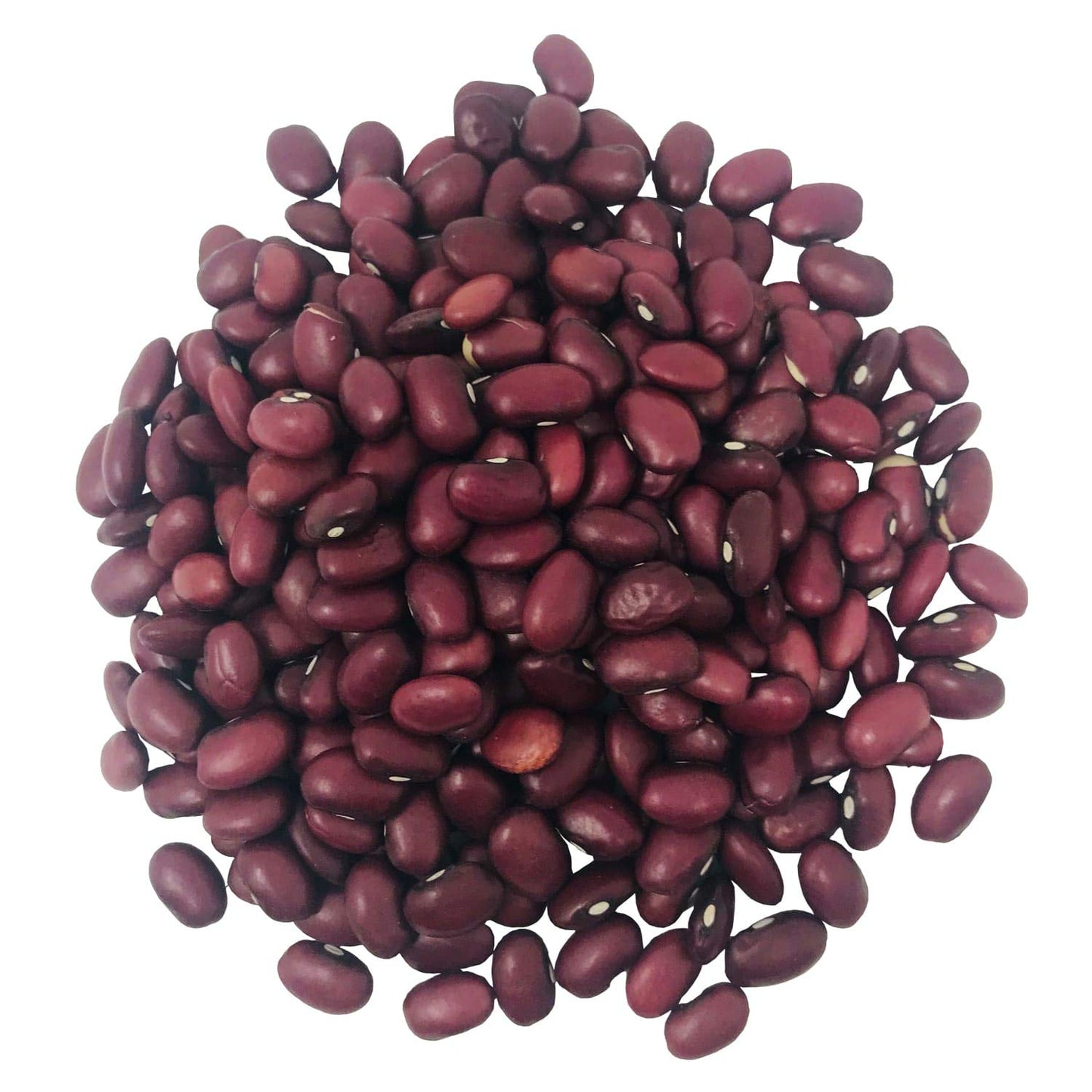 Food To Live Organic Small Red Chili Beans, 1 Pound - Non-Gmo, Kosher, Vegan, Dry, Raw, Sproutable, Non-Irradiated, Bulk, Produc