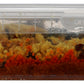Whole Foods Market Kitchens Spicy Red Pepper Salmon meal, 12 OZ