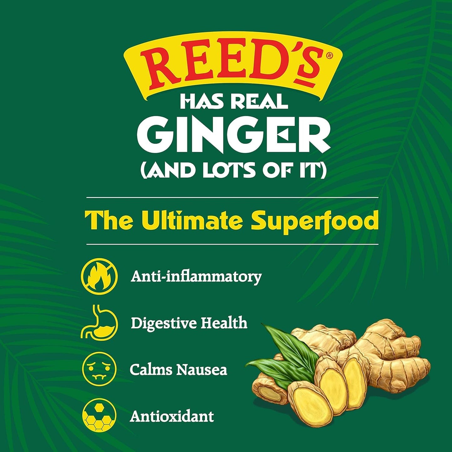 Reeds Strongest Ginger malt-inspired - 12oz Glass Bottles, 12 Pack - Fresh Ginger Root for Intense Spice