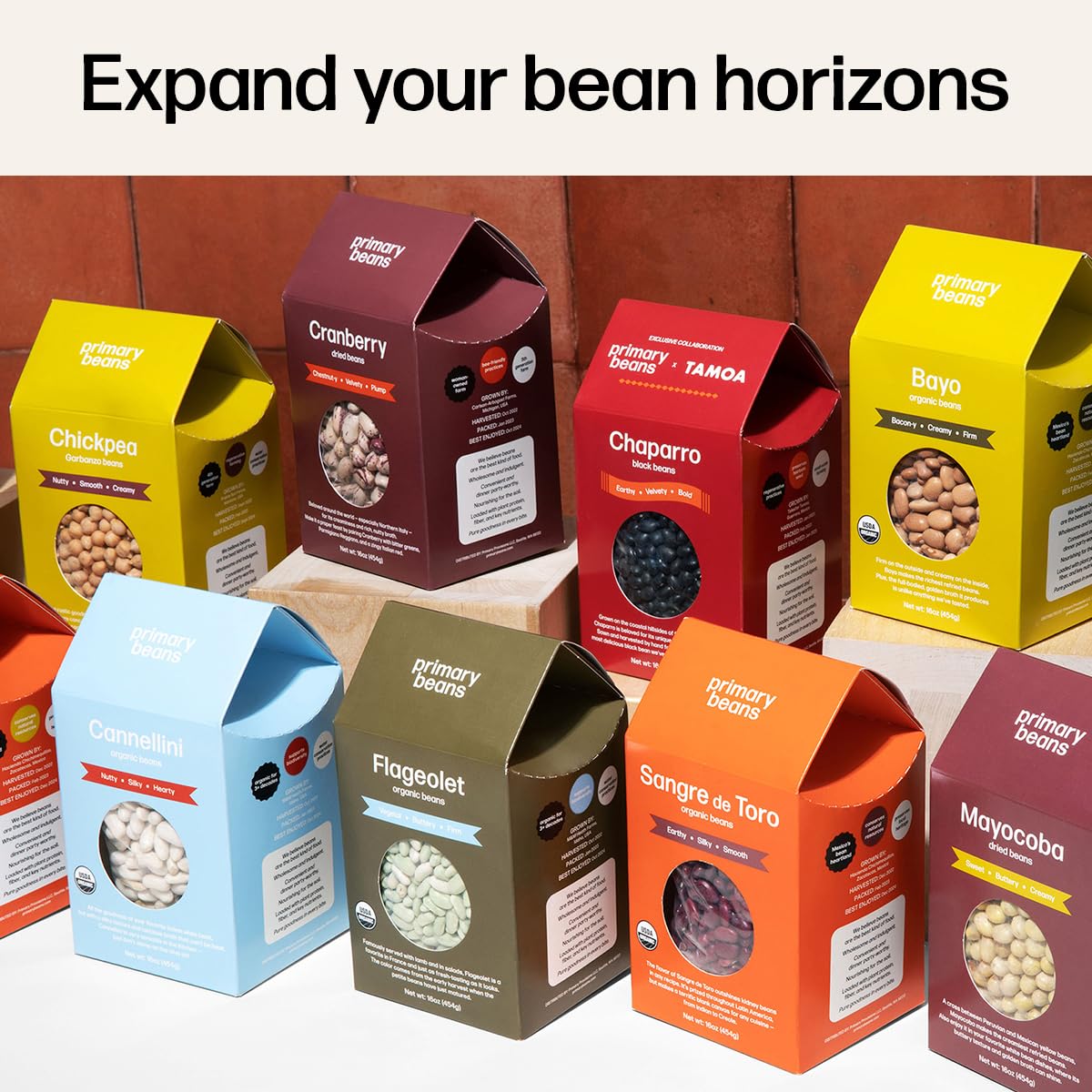 Primary Beans - Organic Flageolet Dried Beans - Vegetal, Buttery, & Firm - Favorite In France - Pair With Fennel, Parsley, Lamb,