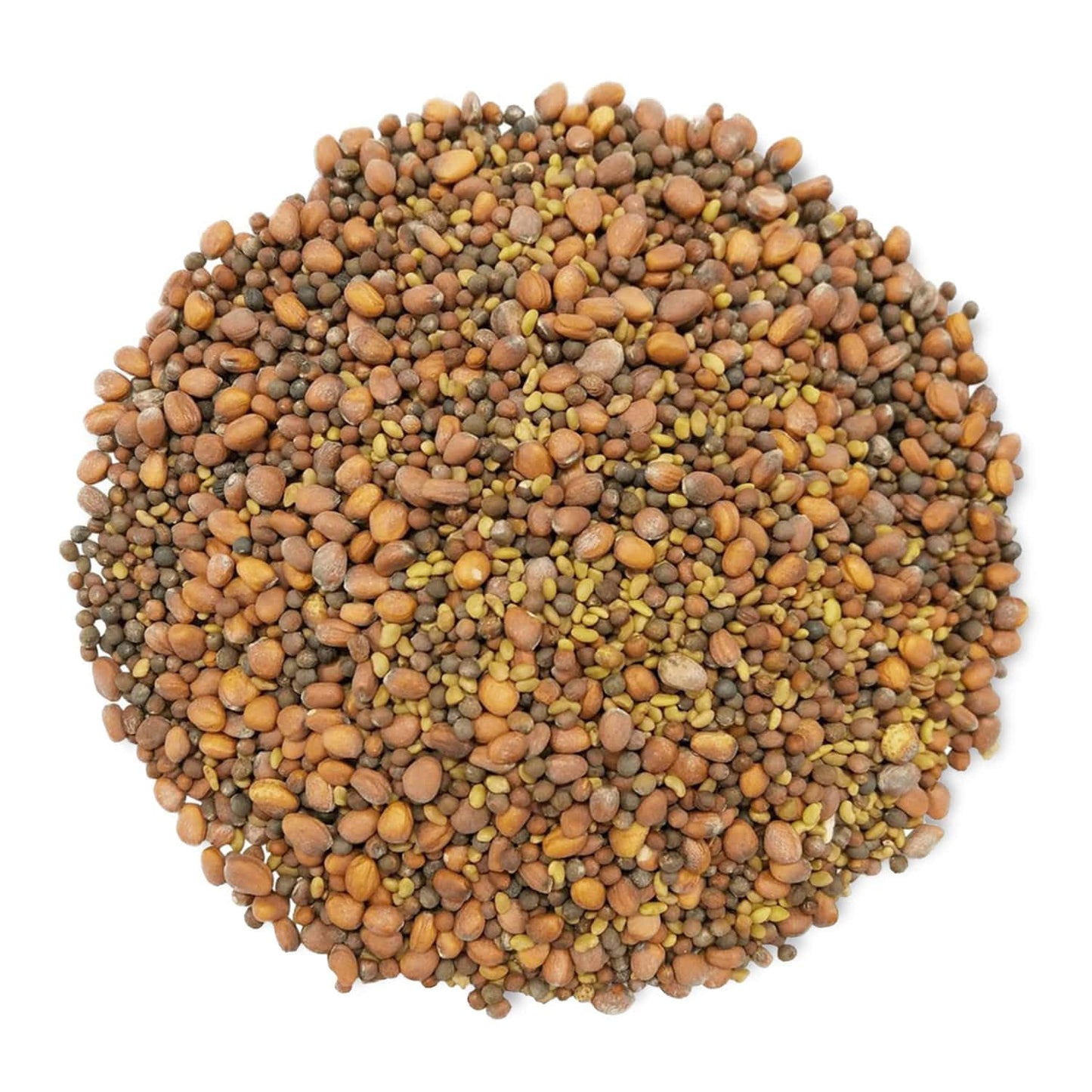 Food To Live Organic Spicy Mix Of Sprouting Seeds, 3 Pounds - Non-Gmo Broccoli, Radish, Alfalfa, Raw, Rich Germination Rate, Non