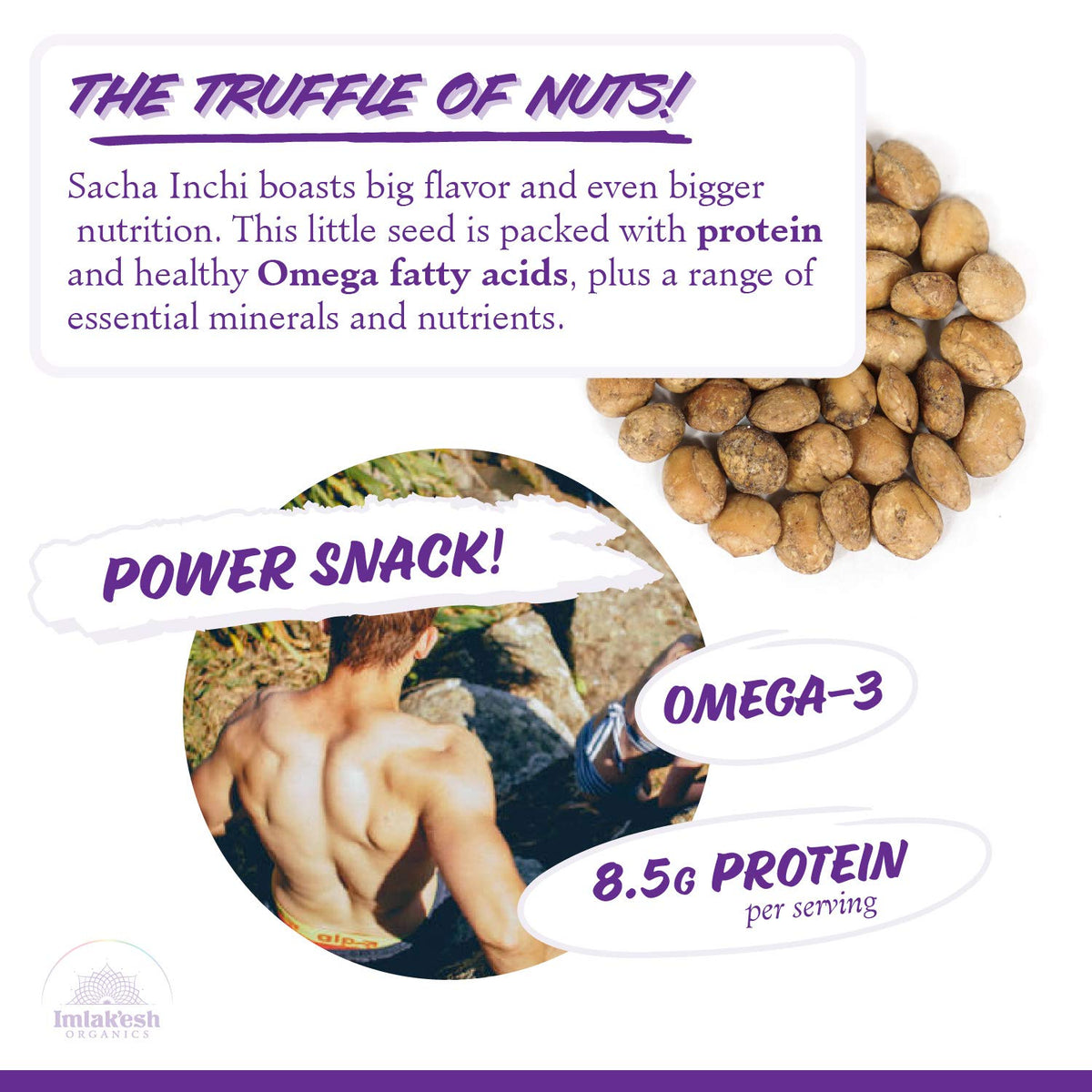 Imlakesh Organics, Sacha Inchi Nuts (16-Ounce Glass Jar), Protein Super-Nuts - 0 Net Carbs | Keto | Paleo | Organic | Regenerat