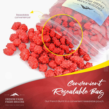 Oregon Farm Fresh Snacks French Burnt Peanuts - Classic Old Fashioned Sweet and Salty Crunchy Red Candy Spanish Snack Enriched w