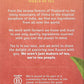 Stash Chai Spice Black Tea (Box Of 30)