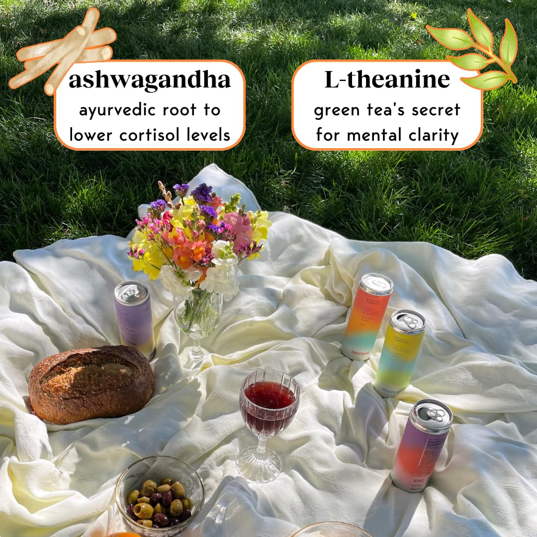 Drink Your Meditation Moment Botanical Drink Variety Pack - Adaptogens, Nootropics, 11.5 Fl Oz, 24-Pack, No Added Sugar, Keto