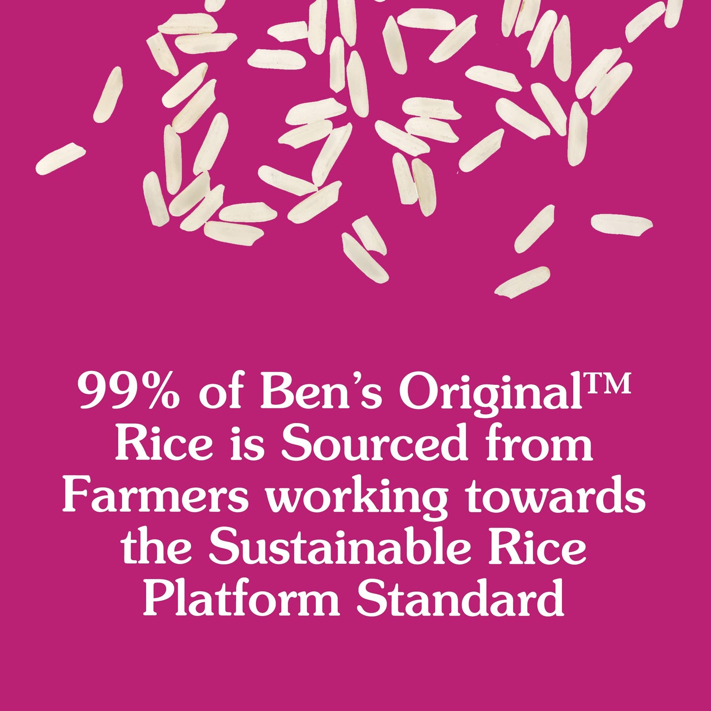 Ben'S Original Ready Rice Chili Garlic Flavored Rice, Easy Dinner Side, 8.5 Oz Pouch