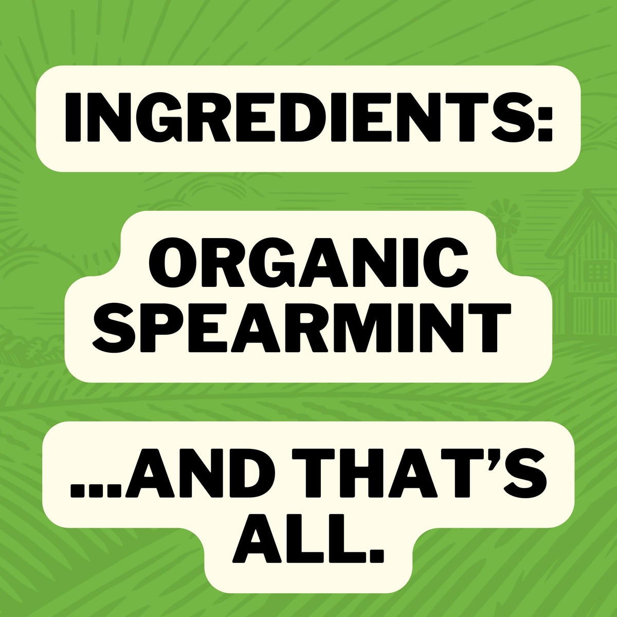 FreshJax Organic Spearmint Spice - 2 Ounce BPA-Free Bottle