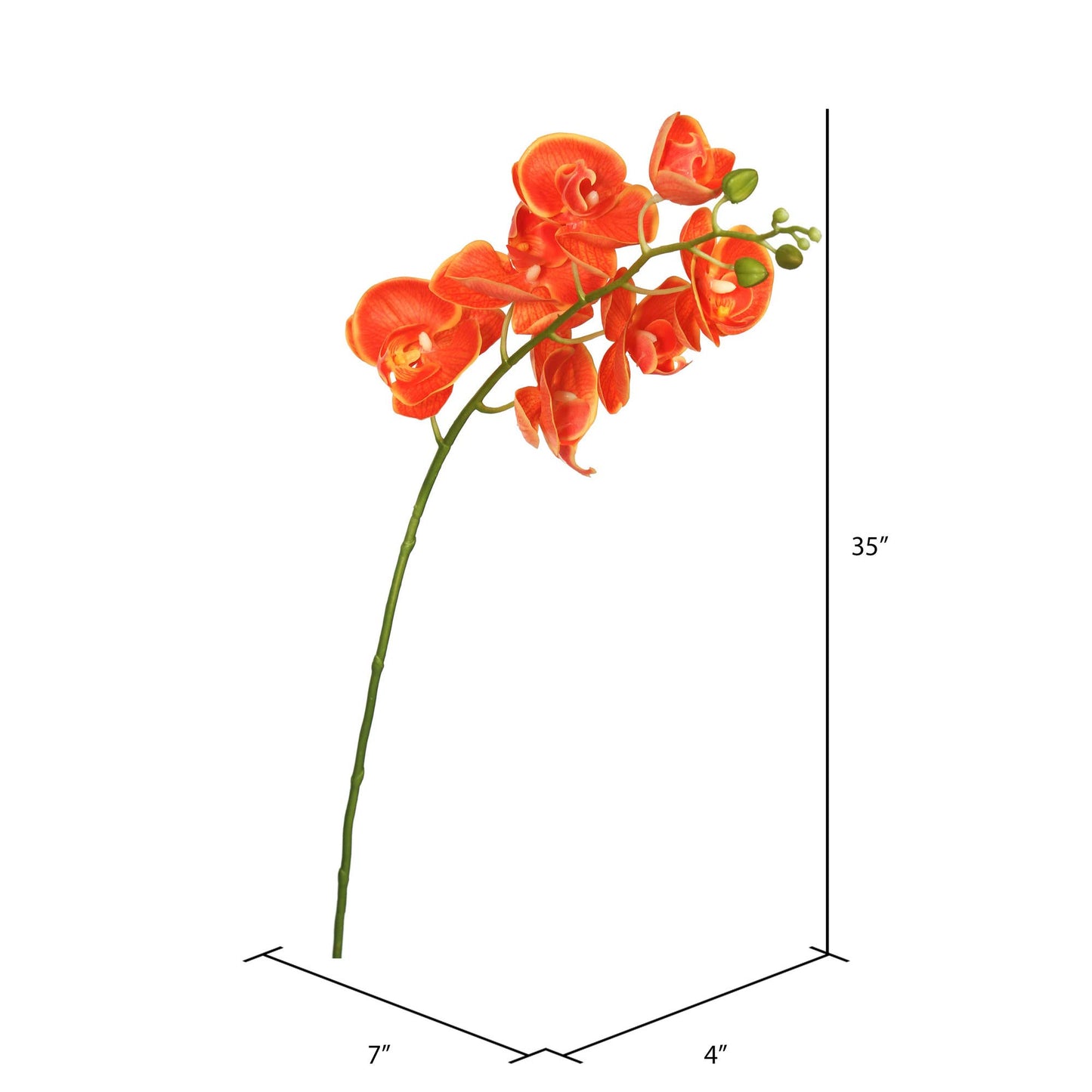Vickerman Fa172203 Everyday Orchid Stem