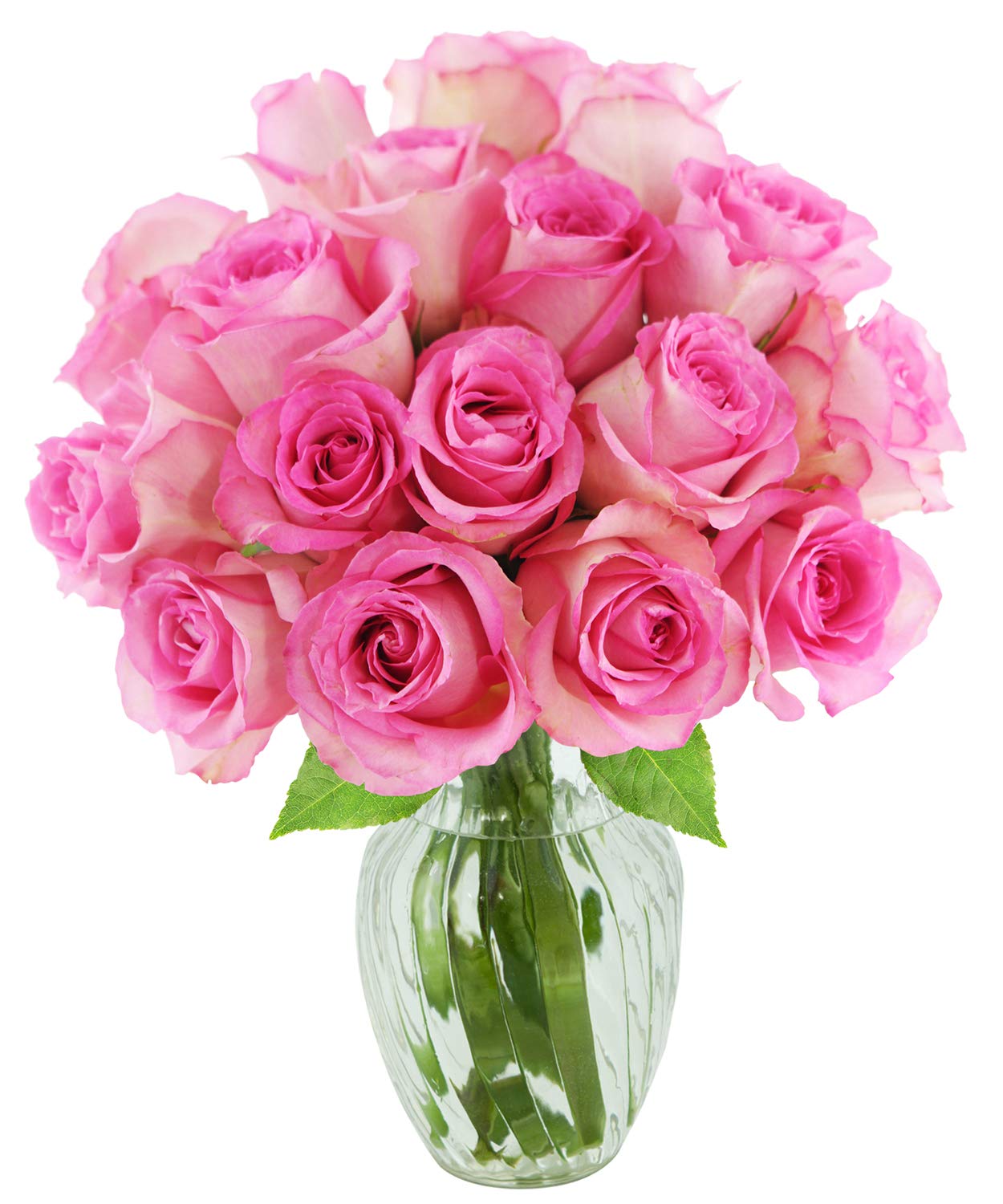 KaBloom Flowers - Mothers Day Collection - Bouquet of 18 Fresh Pink Roses (Farm-Fresh  Long-Stem) with Vase|Gift for Birthday  Anniversary  Thank You  Valentine  Mothers Day Fresh Flowers