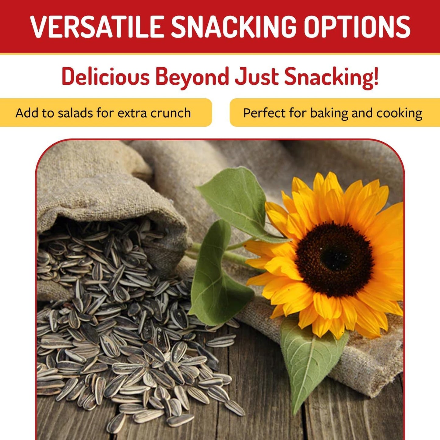 Babkini Semechki Sunflower Seeds & Red Seeds Crackers - Variety Pack (2 Pack, 300g Each) | 1 Roasted & 1 Salted | Non-GMO, High