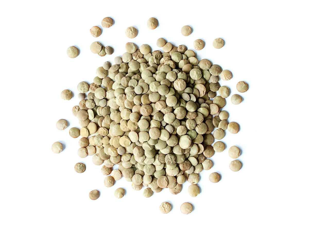 Food To Live Organic Whole Green Lentils, 20 Pounds - Non-Gmo, Dried Raw Beans, Sproutable, Vegan, Kosher, High In Folate, Dieta