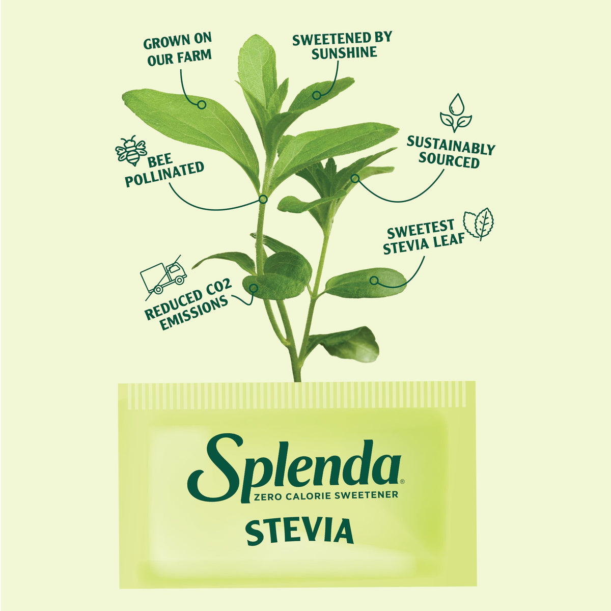 SPLENDA Stevia Zero Calorie Sweetener, Sugar Substitute Packets, 200 Count (Pack of 1)