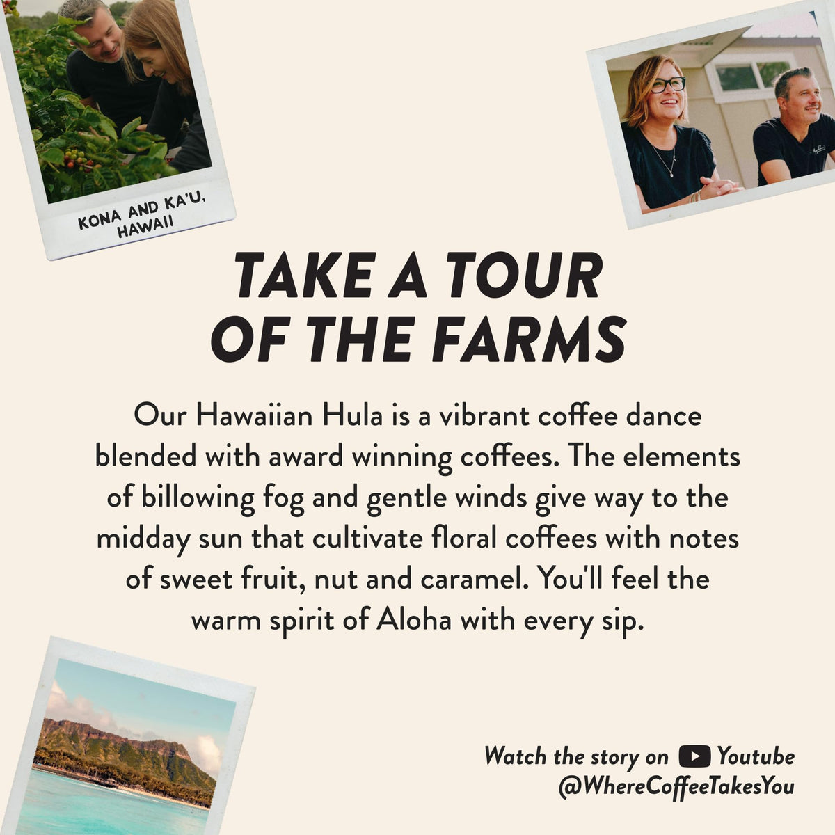 Angelinos Coffee Hawaiian Hula Reserve Whole Bean Hawaiian Coffee Blend, Medium Roast With Chocolaty Notes And Floral Undertones - Enhanced Hawaii Coffee Beans Blend