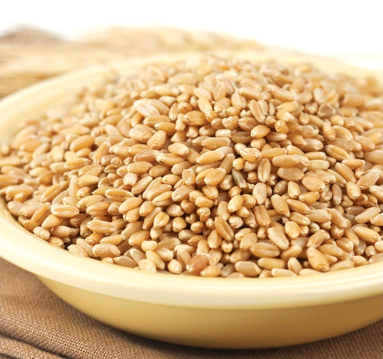 Wheat Montana Prairie Gold Wheat Berries - 50lb Bag (800 Ounce) - Whole Grain, Non-GMO