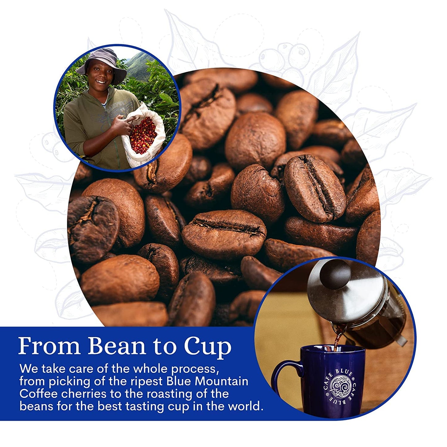Cafe Blue - 100% Authentic Jamaica Blue Mountain Coffee from Clifton Mount Estate  Medium Roast Whole Bean Coffee  enhanced Arabica Coffee Beans  Coffee Bag of 16 Ounces (1 Pound  454 Grams)