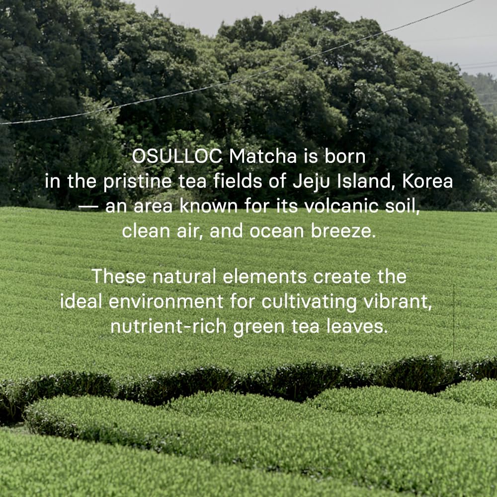 OSULLOC Volcanic Isle Matcha Powder  Ceremonial Grade Korean Matcha for lattes  Green tea powder from Jeju island (1.41oz  40g)