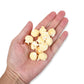Mushroom Popcorn Kernels By Princeton Popcorn - Farmer Direct, Non-Gmo, Gluten Free, Unpopped, Ball Shaped, Old Fashion Popcorn