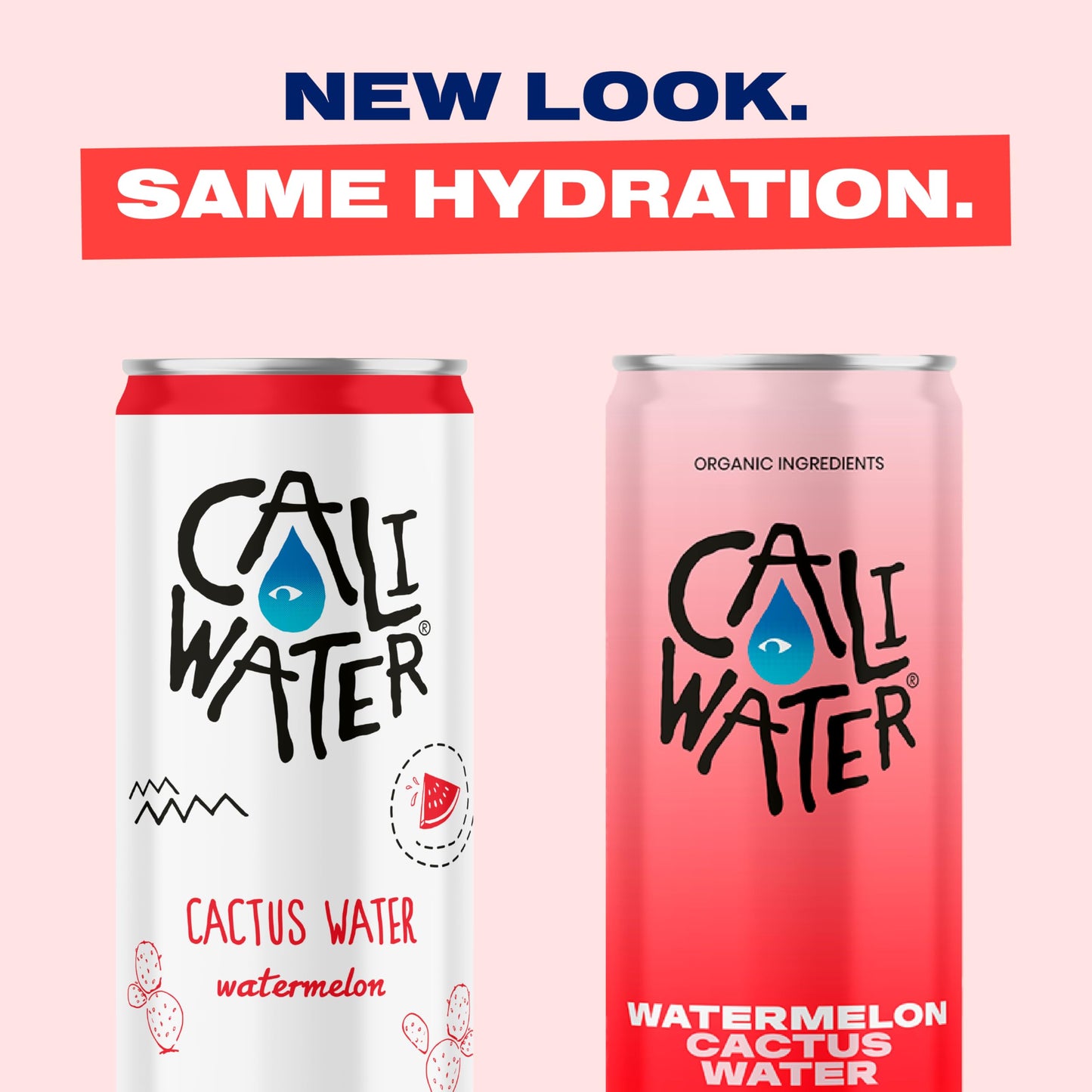 CALIWATER Organic Cactus Water, Watermelon Flavor, 12 Fl Oz (Pack of 12), Low Sugar Hydration Drink